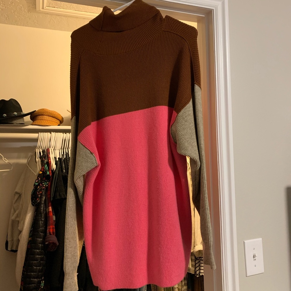 Free People Color Blocked Turtle Neck